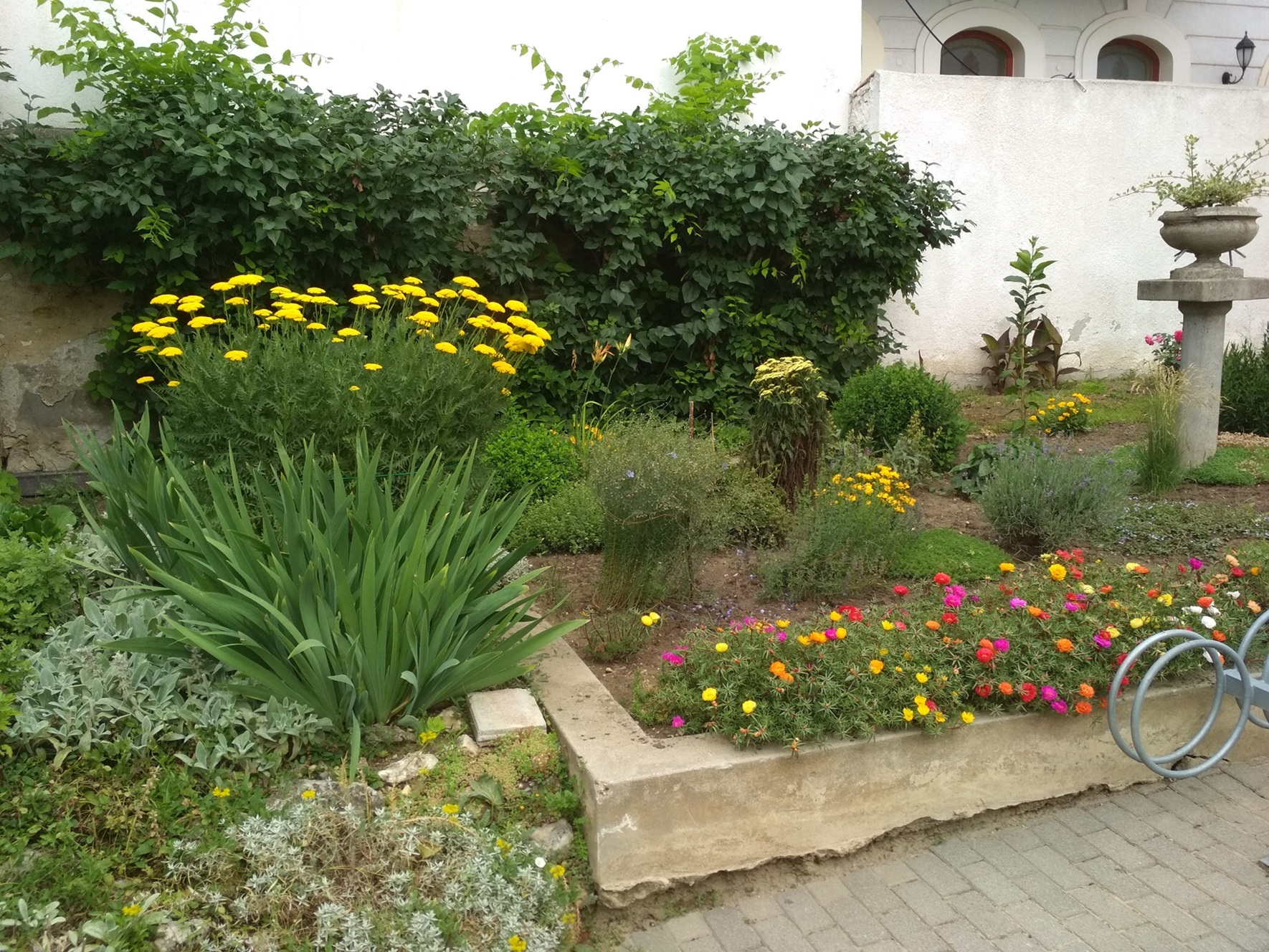 Szakmai elismerésKertgondozásIMG 20180618 103931