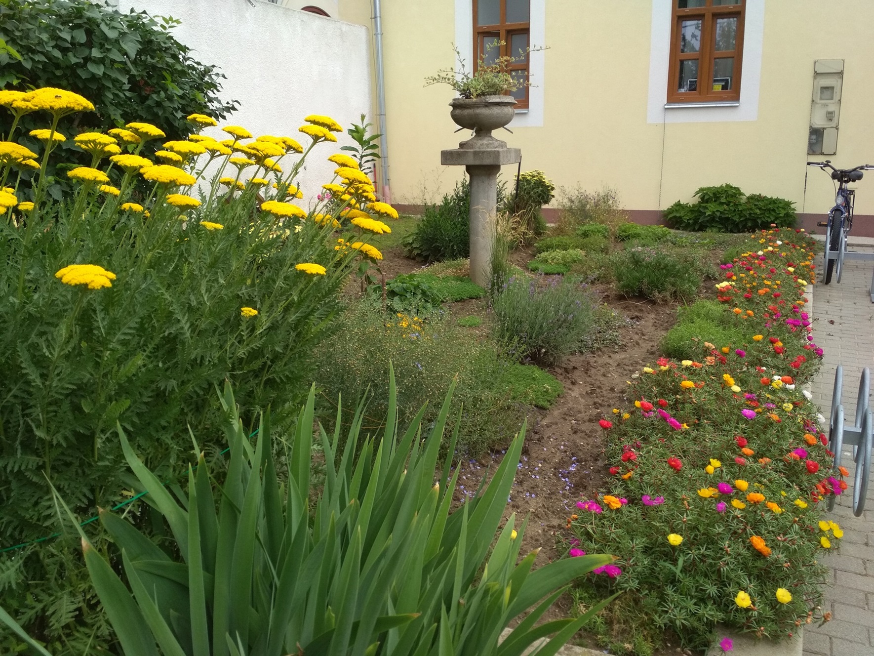 Szakmai elismerésKertgondozásIMG 20180618 103941