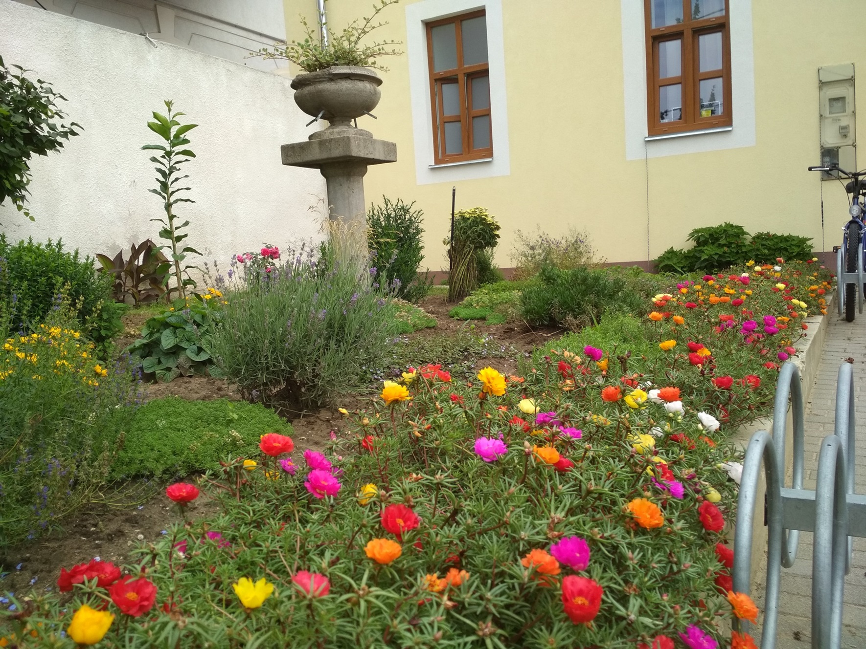 Szakmai elismerésKertgondozásIMG 20180618 103957